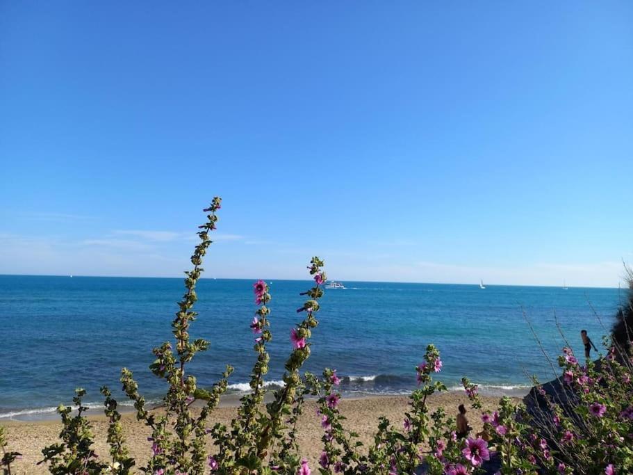 Studio Port Du Cap D'Агде Екстериор снимка